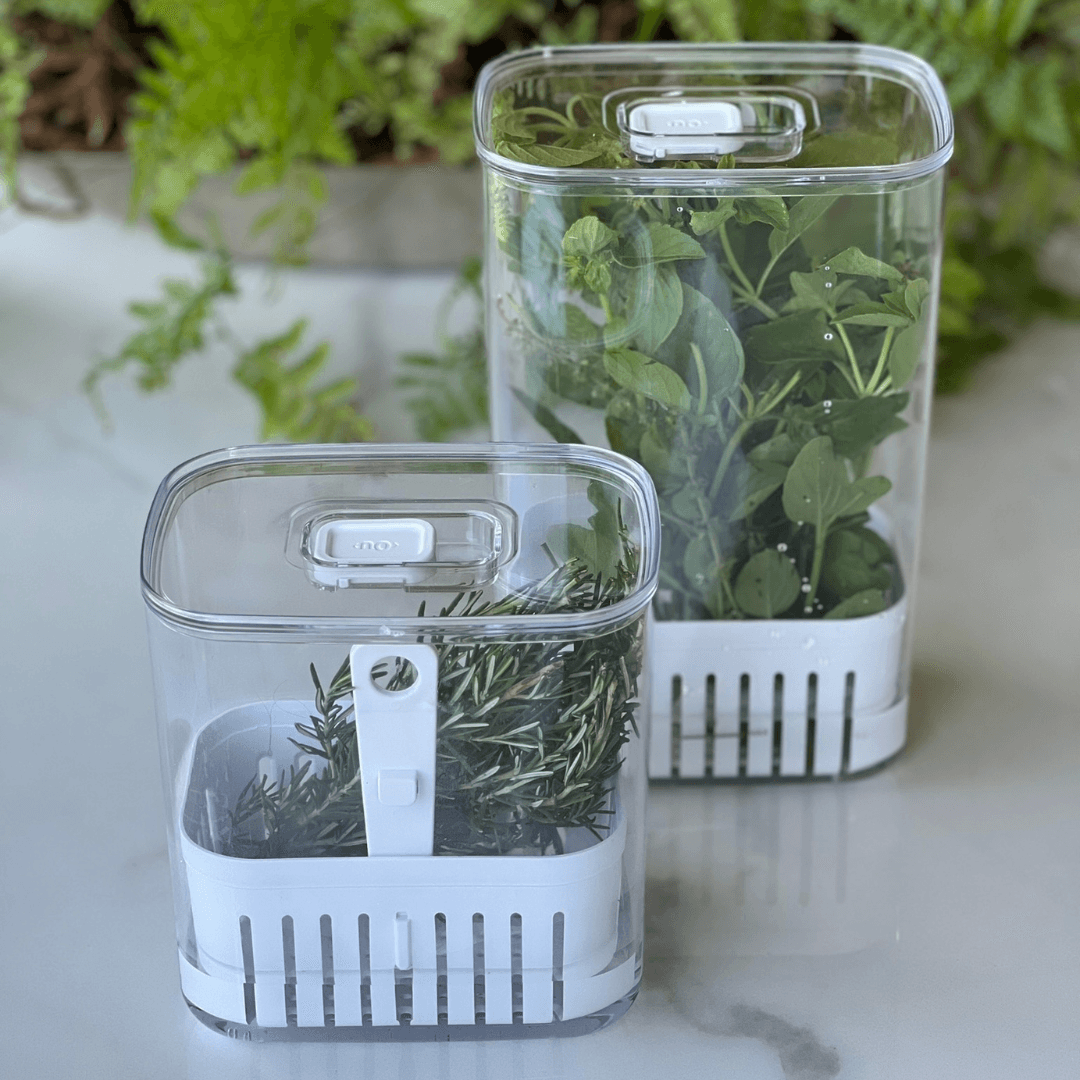 Organizador Pote para Temperos Frescos Clear Fresh 1,5 Litros