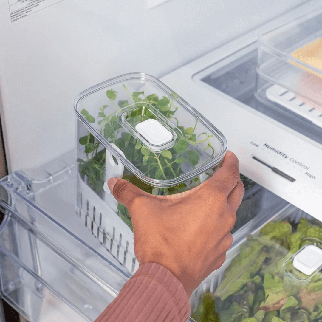 Organizador Pote para Temperos Frescos Clear Fresh 1,5 Litros