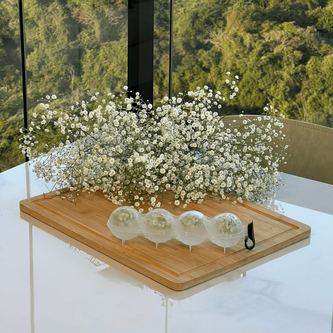 Forma para Gelo 4 Cavidades Redondas de Plástico 250ml