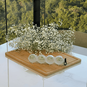 Forma para Gelo 4 Cavidades Redondas de Plástico 250ml