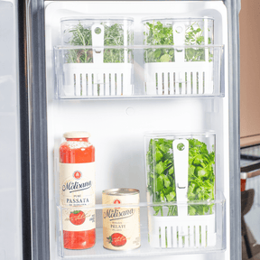 Organizador Pote para Temperos Frescos Clear Fresh 2,3 Litros