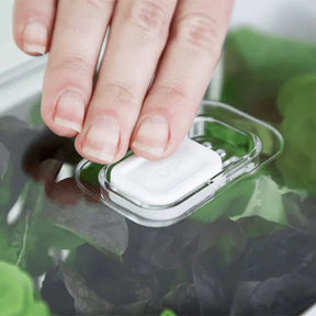 Kit de 4 Organizadores de Geladeira Clear Fresh com Cesto 2,2 Litros