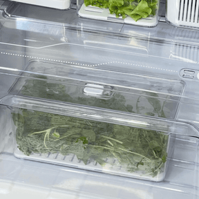 Organizador Clear Fresh 5 Litros