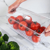 Organizador Clear Fresh 5 Litros