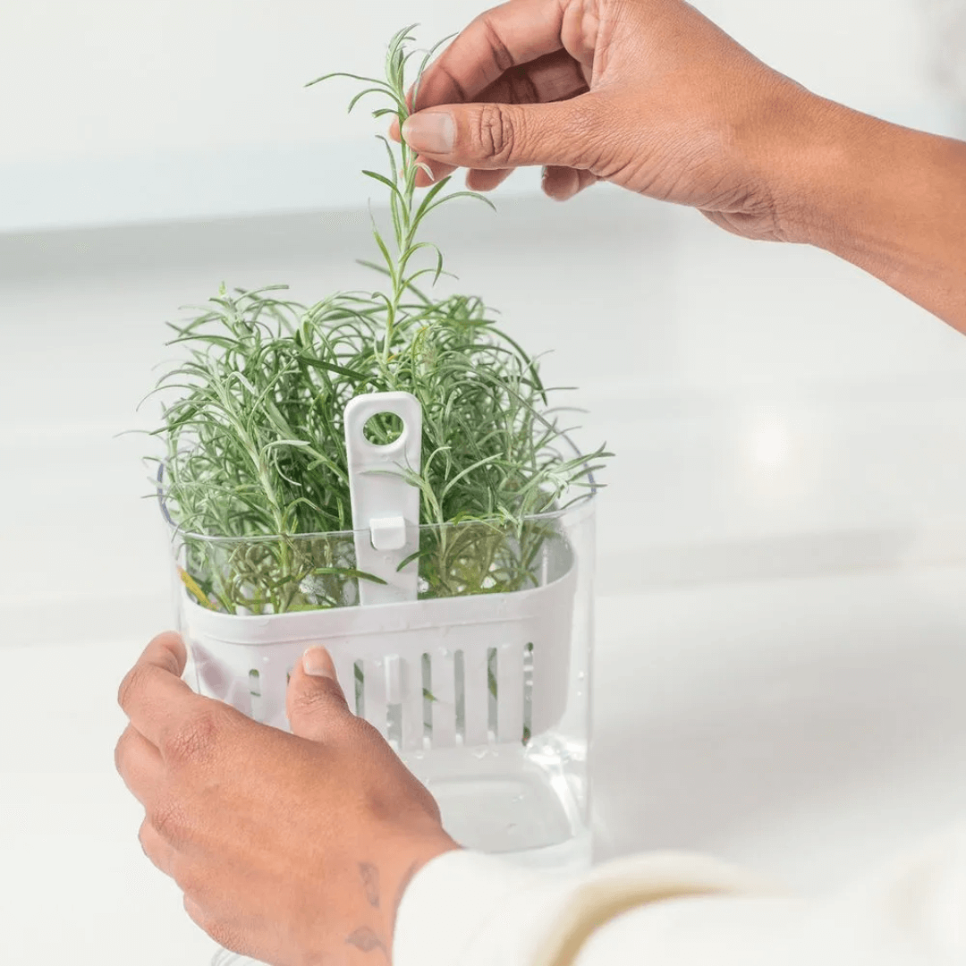 Organizador Pote para Temperos Frescos Clear Fresh 1,5 Litros