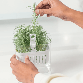 Organizador Pote para Temperos Frescos Clear Fresh 1,5 Litros