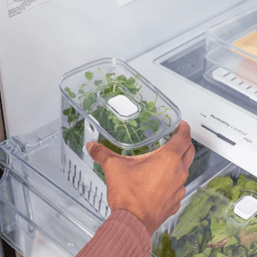 Organizador Pote para Temperos Frescos Clear Fresh 1,5 Litros