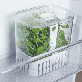 Organizador Pote para Temperos Frescos Clear Fresh 1,5 Litros