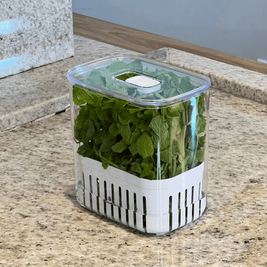 Organizador Pote para Temperos Frescos Clear Fresh 1,5 Litros