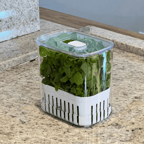 Organizador Pote para Temperos Frescos Clear Fresh 1,5 Litros