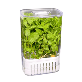 Organizador Pote para Temperos Frescos Clear Fresh 2,3 Litros