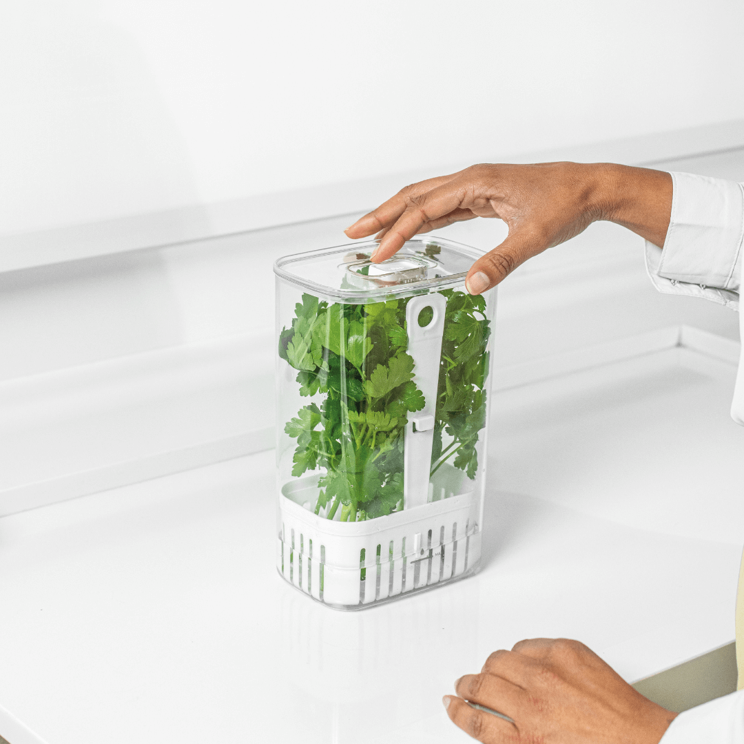 Organizador Pote para Temperos Frescos Clear Fresh 2,3 Litros