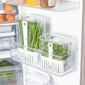 Organizador Pote para Temperos Frescos Clear Fresh 1,5 Litros