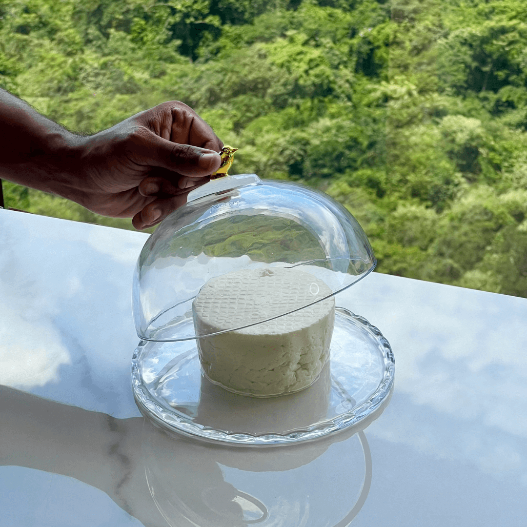 Queijeira com Tampa de Cristal Golden Bird 20cm