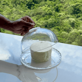 Queijeira com Tampa de Cristal Golden Bird 20cm